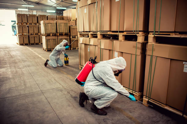 Best Flea Control Services  in Port Ludlow, WA