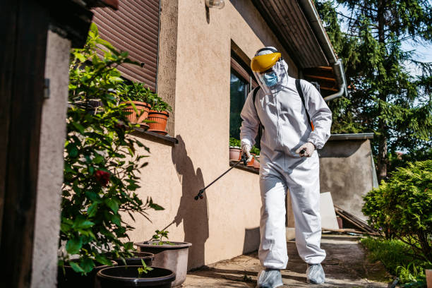 Best Wasp Removal Services  in Port Ludlow, WA