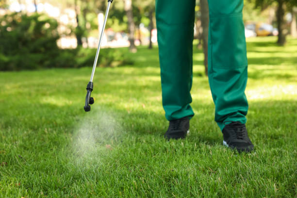 Best Rat Extermination Near Me  in Port Ludlow, WA