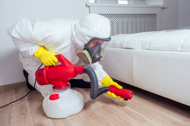 Best Local Pest Control Services  in Port Ludlow, WA