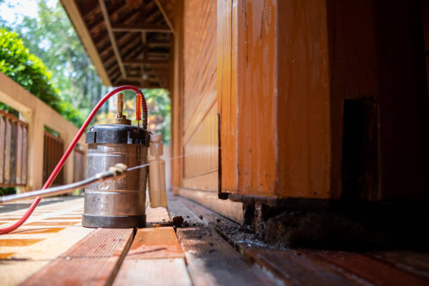 Best Pest Removal Services  in Port Ludlow, WA