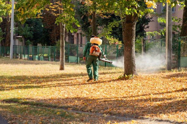 Best Best Pest Control Companies  in Port Ludlow, WA