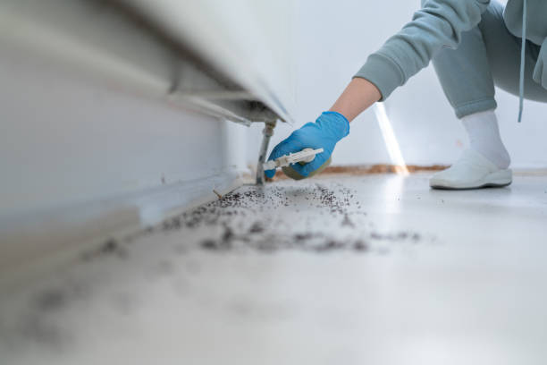 Best Emergency Pest Control  in Port Ludlow, WA
